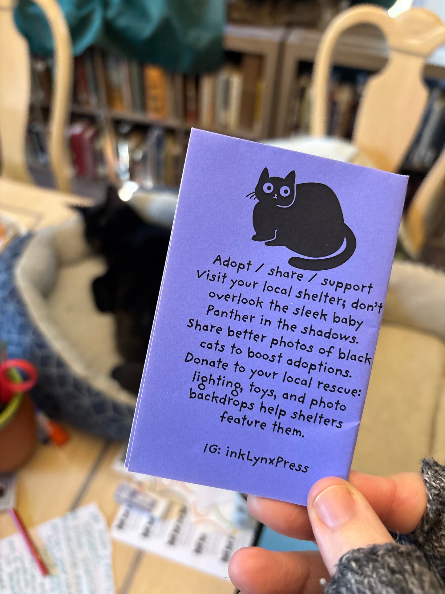 In Praise of Black Cats