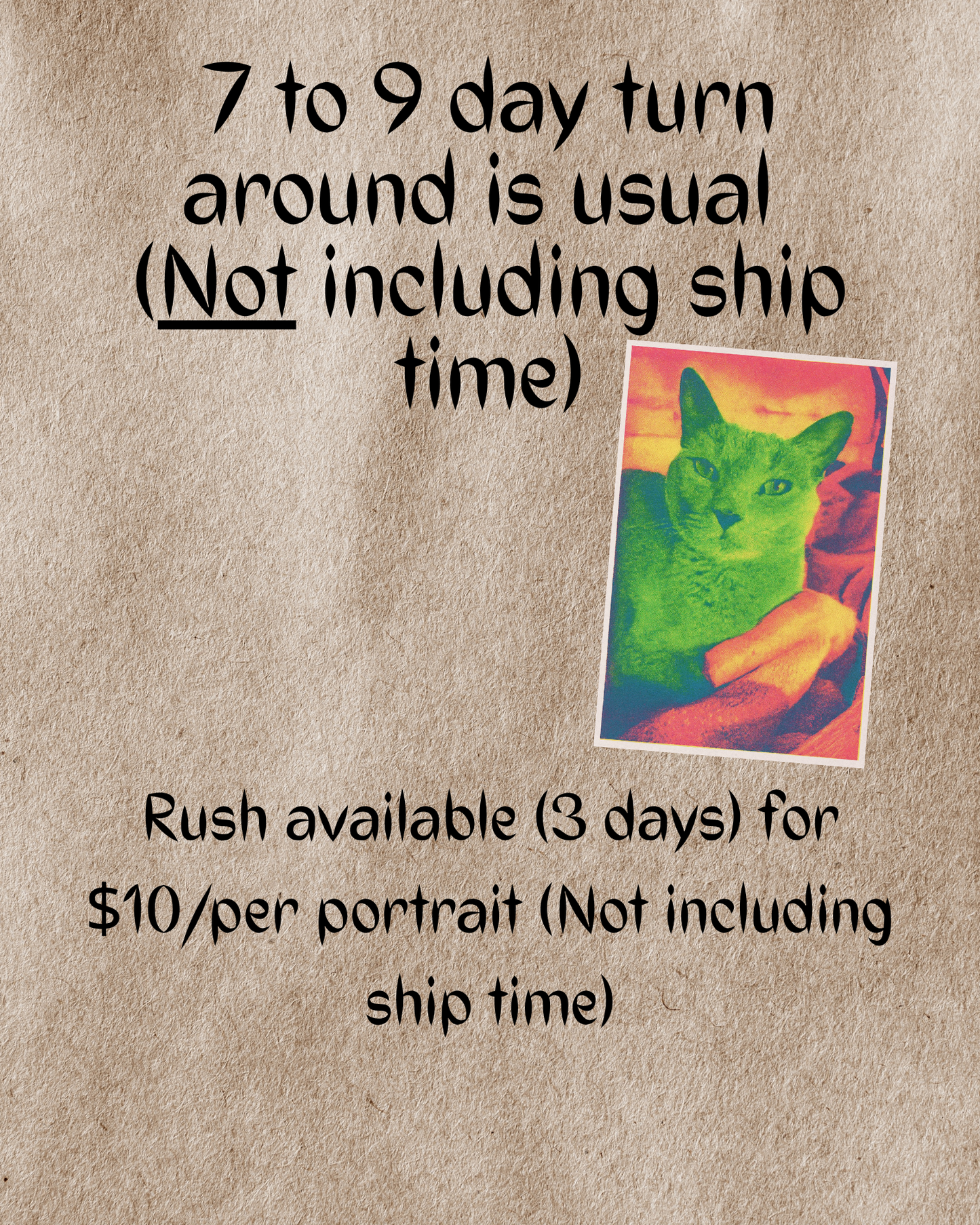 Custom Made Digital Risograph Pet Portrait