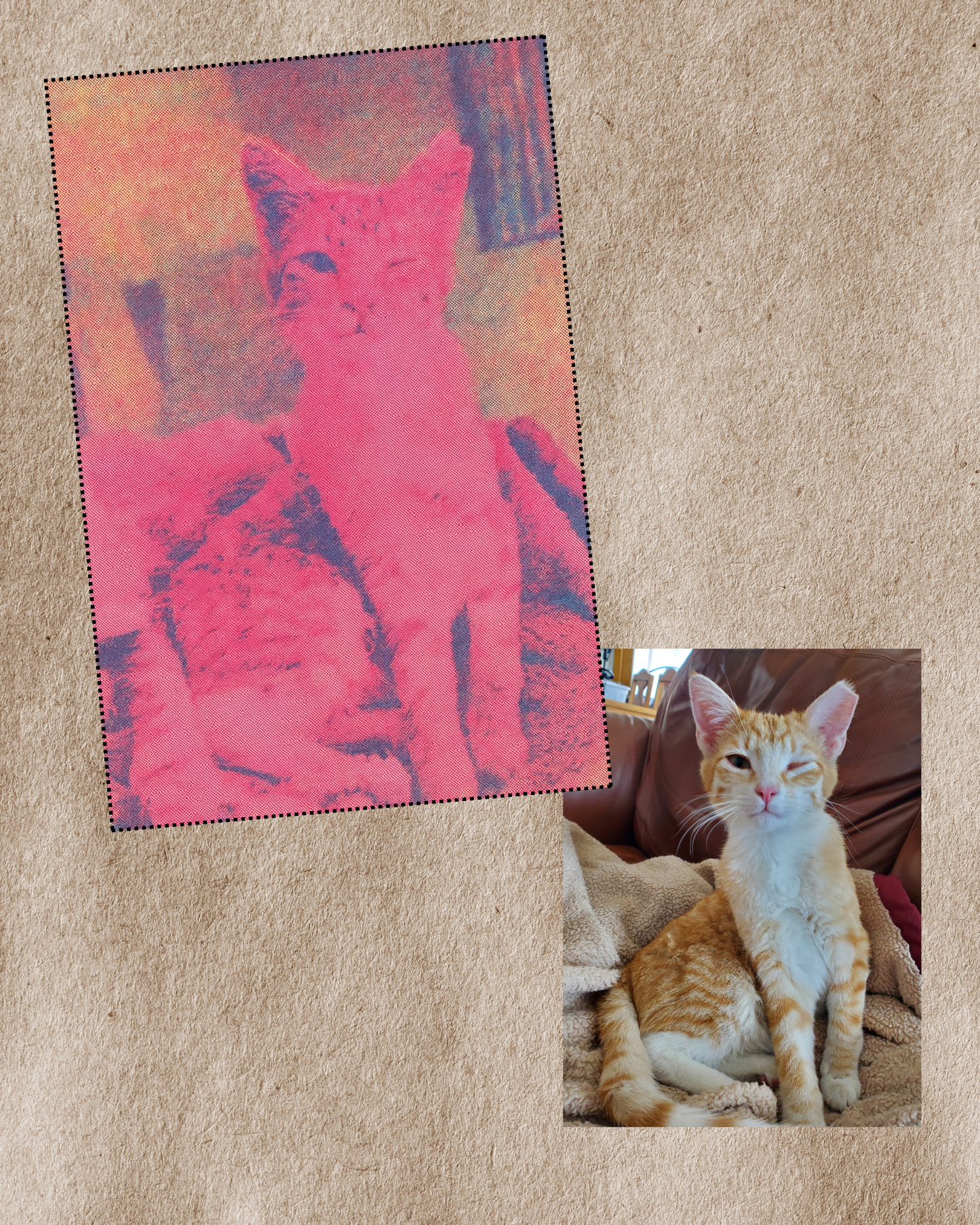 Custom Made Digital Risograph Pet Portrait