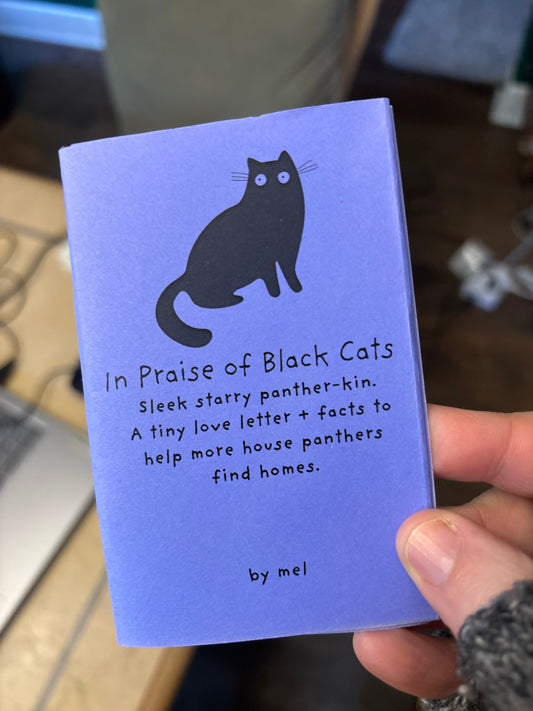 In Praise of Black Cats