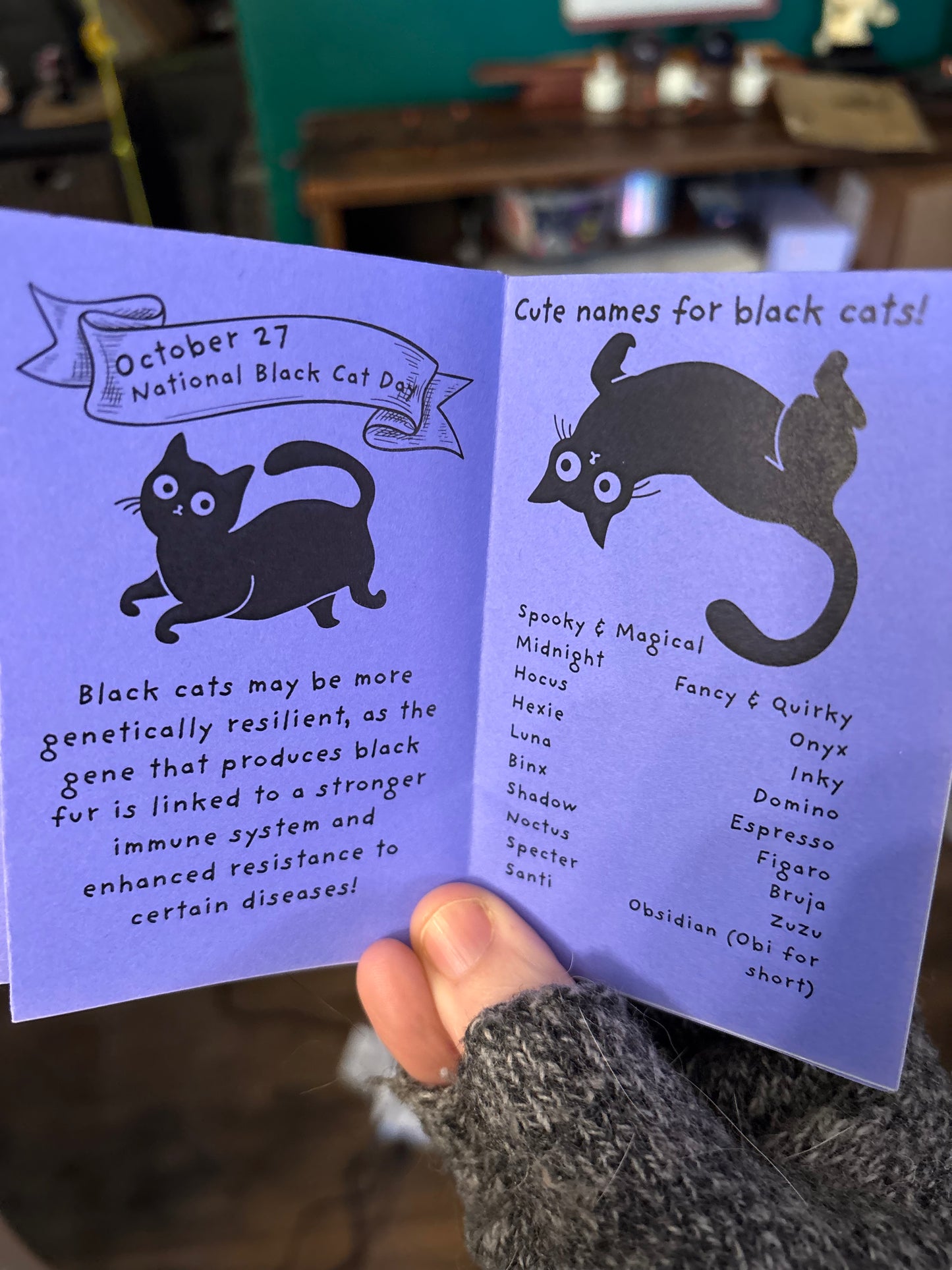 In Praise of Black Cats